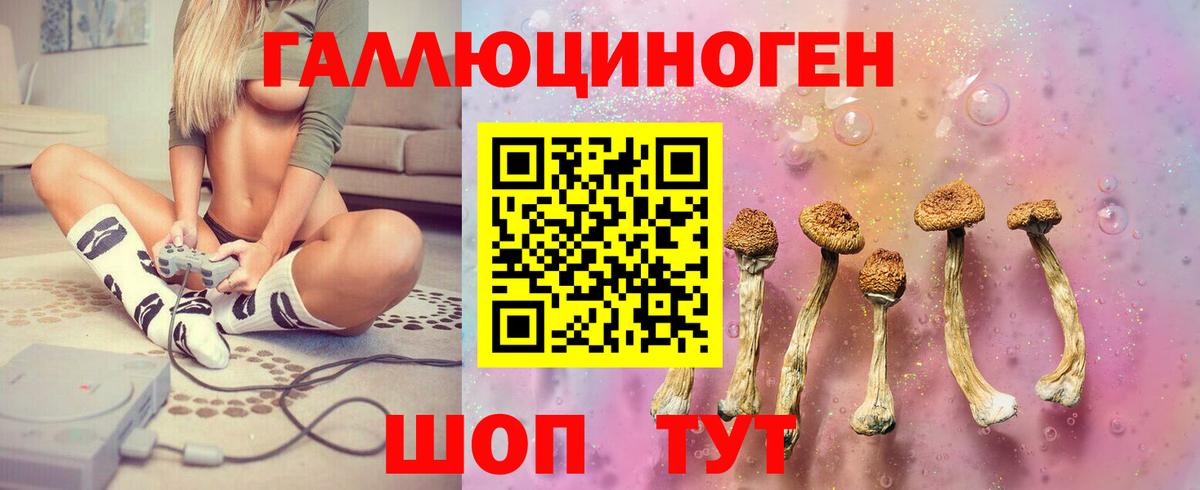 A-PVP Кингисепп